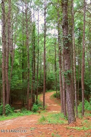 $449,900 | 2710 US 49, Collins, MS 39428