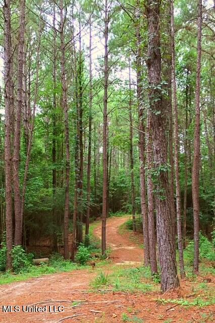 2710 US 49 Collins, MS 39428 - Photo 23 of 25 IMG_3349