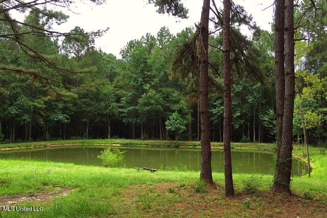 2710 US 49 Collins, MS 39428 - Photo 24 of 25 IMG_3350