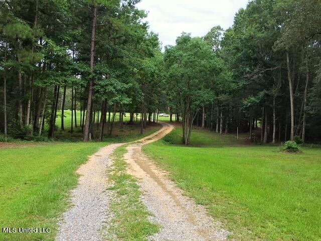 2710 US 49 Collins, MS 39428 - Photo 25 of 25 IMG_3360