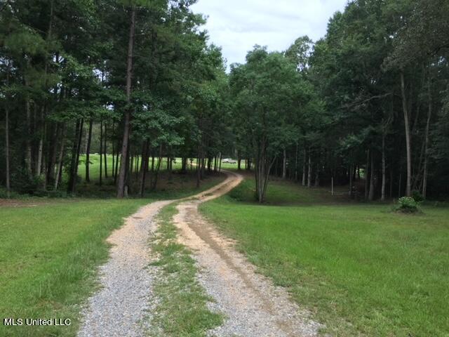 2710 US 49 Collins, MS 39428 - Photo 4 of 25 IMG_3296