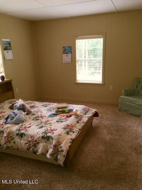 2710 US 49 Collins, MS 39428 - Photo 9 of 25 IMG_3358