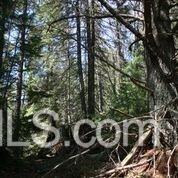N9798 Ross Lake Road Munising, MI 49862 - Photo 23 of 30 Gallery Image 23