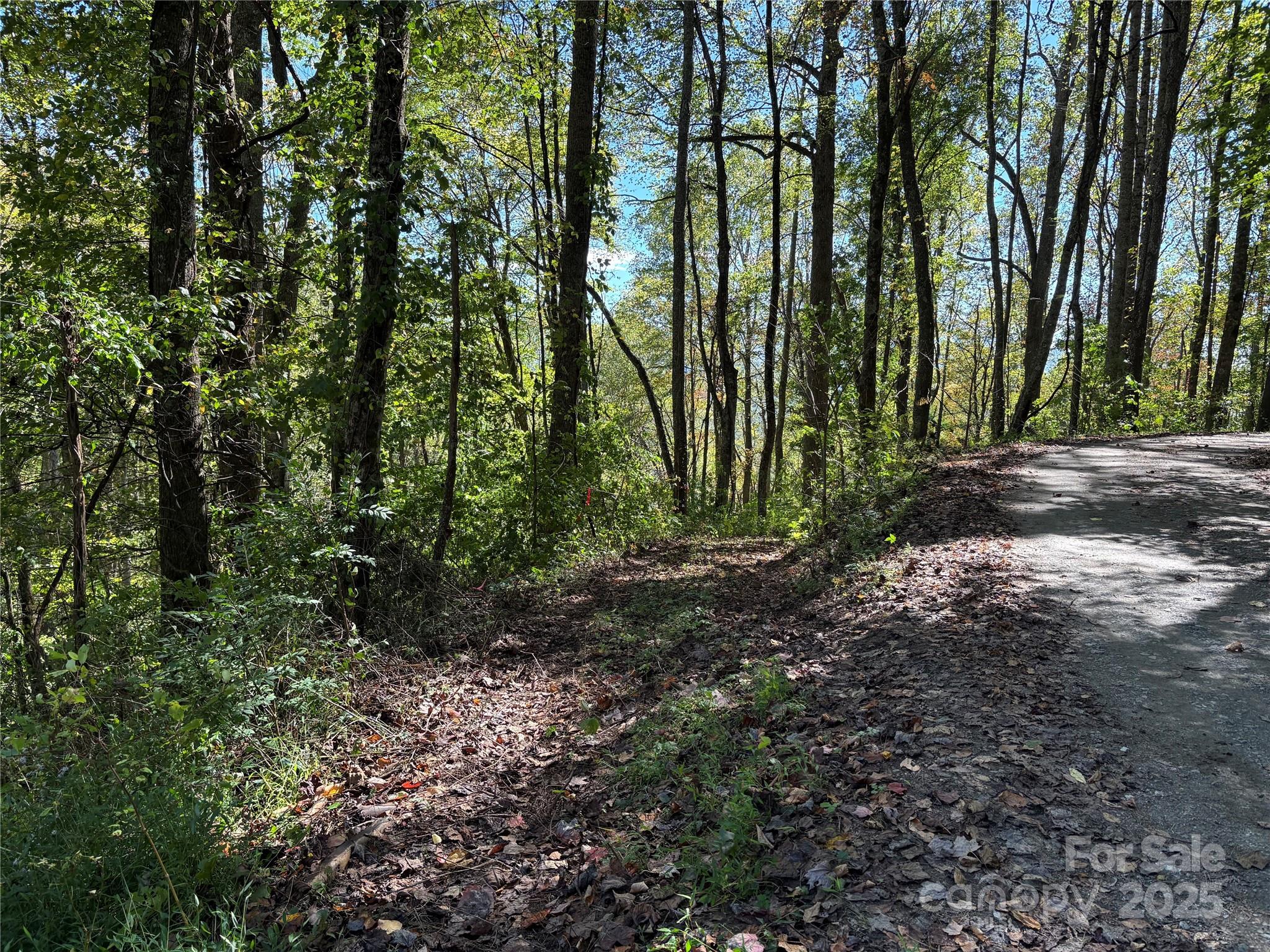 Tbd Happy Ridge Lane Sylva, NC 28779 - Photo 11 of 12 a view of backyard with green space