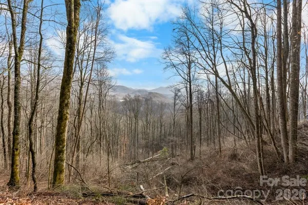 $98,000 | Tbd Happy Ridge Lane, Sylva, NC 28779