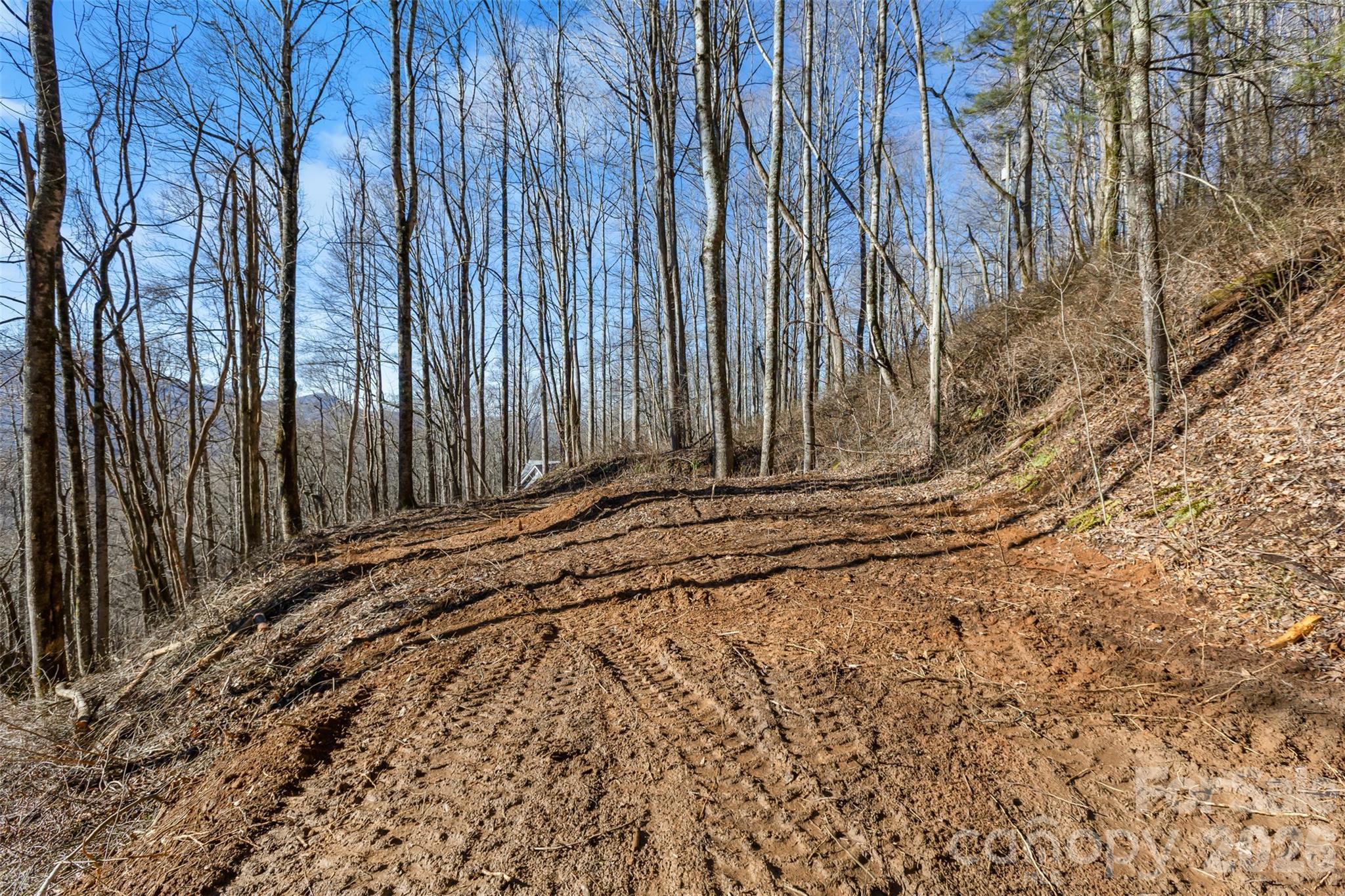 Tbd Happy Ridge Lane Sylva, NC 28779 - Photo 3 of 12 a view of a backyard with pathway