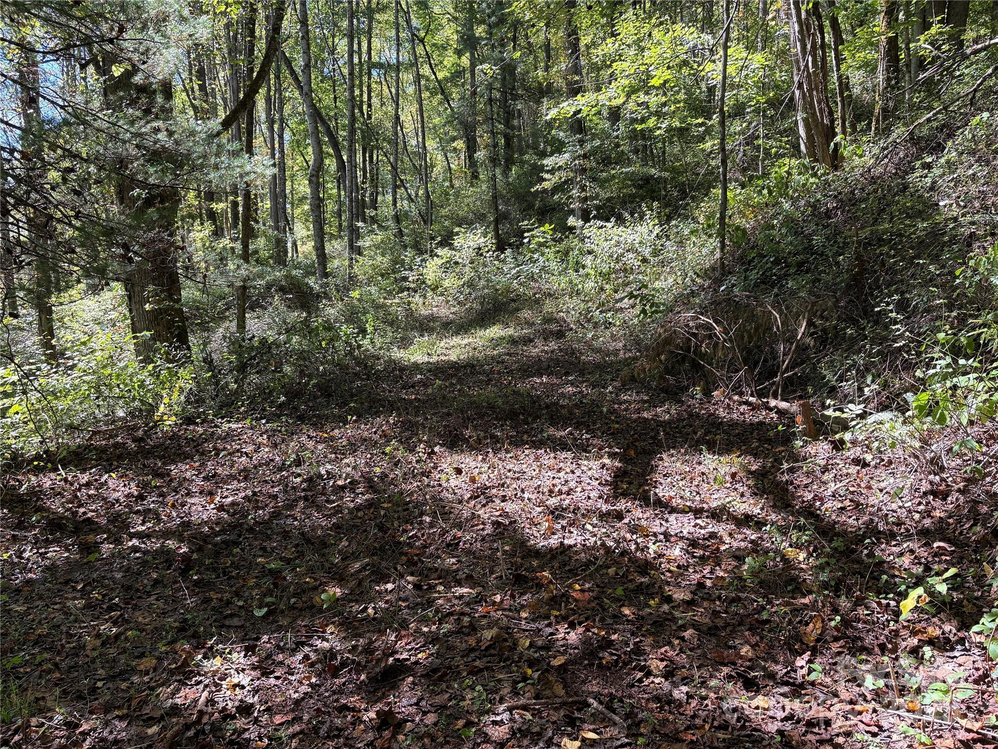 Tbd Happy Ridge Lane Sylva, NC 28779 - Photo 4 of 12 a view of a forest with trees
