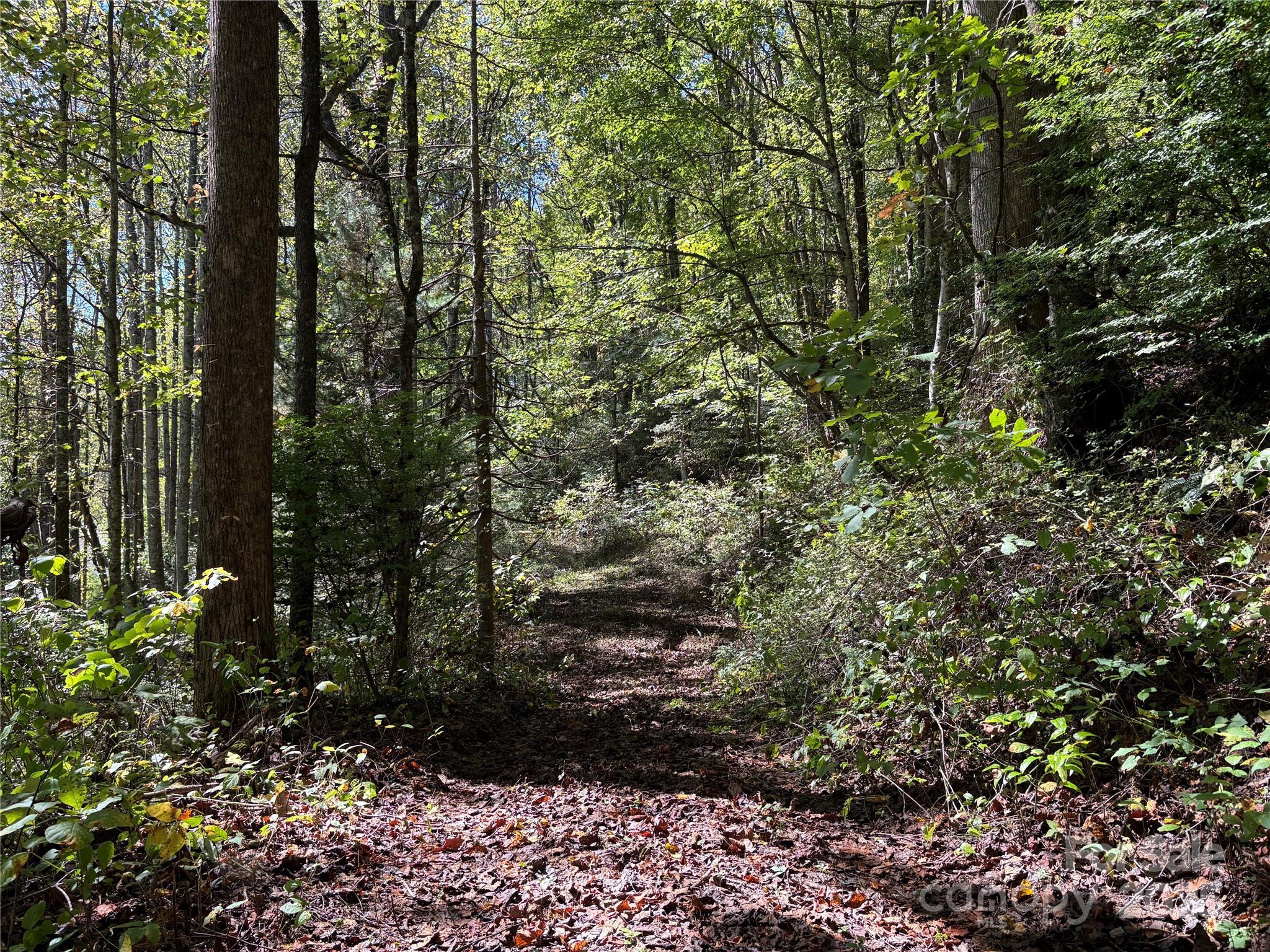 Tbd Happy Ridge Lane Sylva, NC 28779 - Photo 5 of 12 a view of a yard