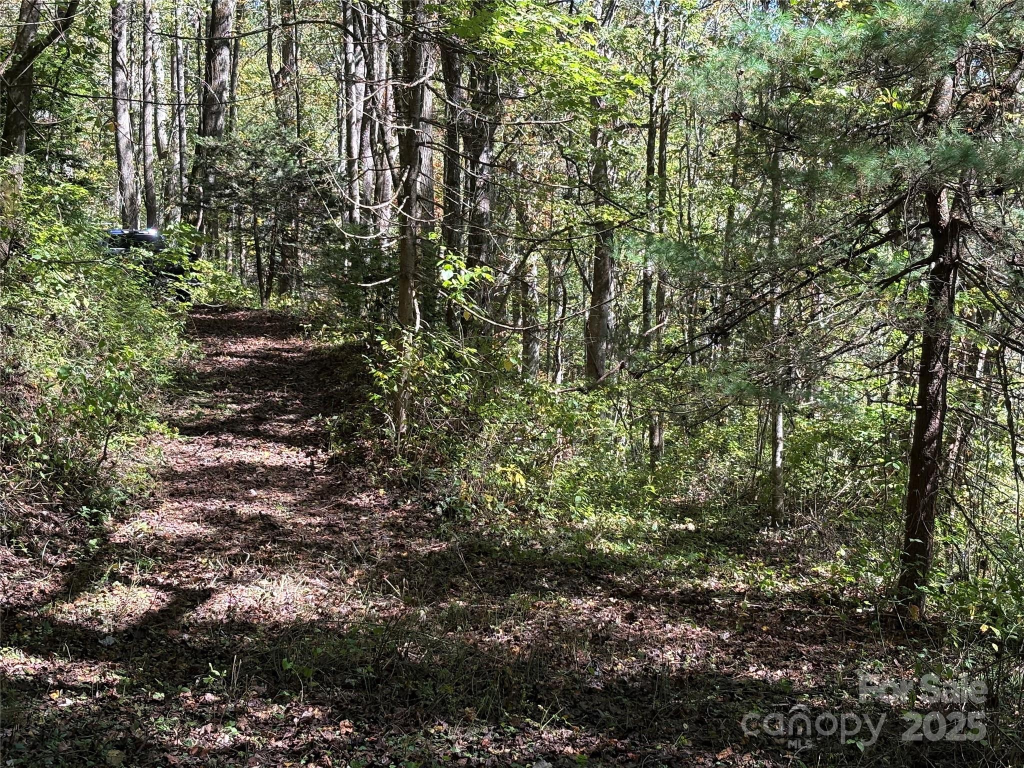 Tbd Happy Ridge Lane Sylva, NC 28779 - Photo 8 of 12 a view of a yard with large trees