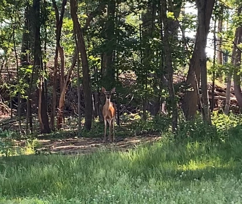 102 R Kimball Road Amesbury, MA 01913 - Photo 9 of 9