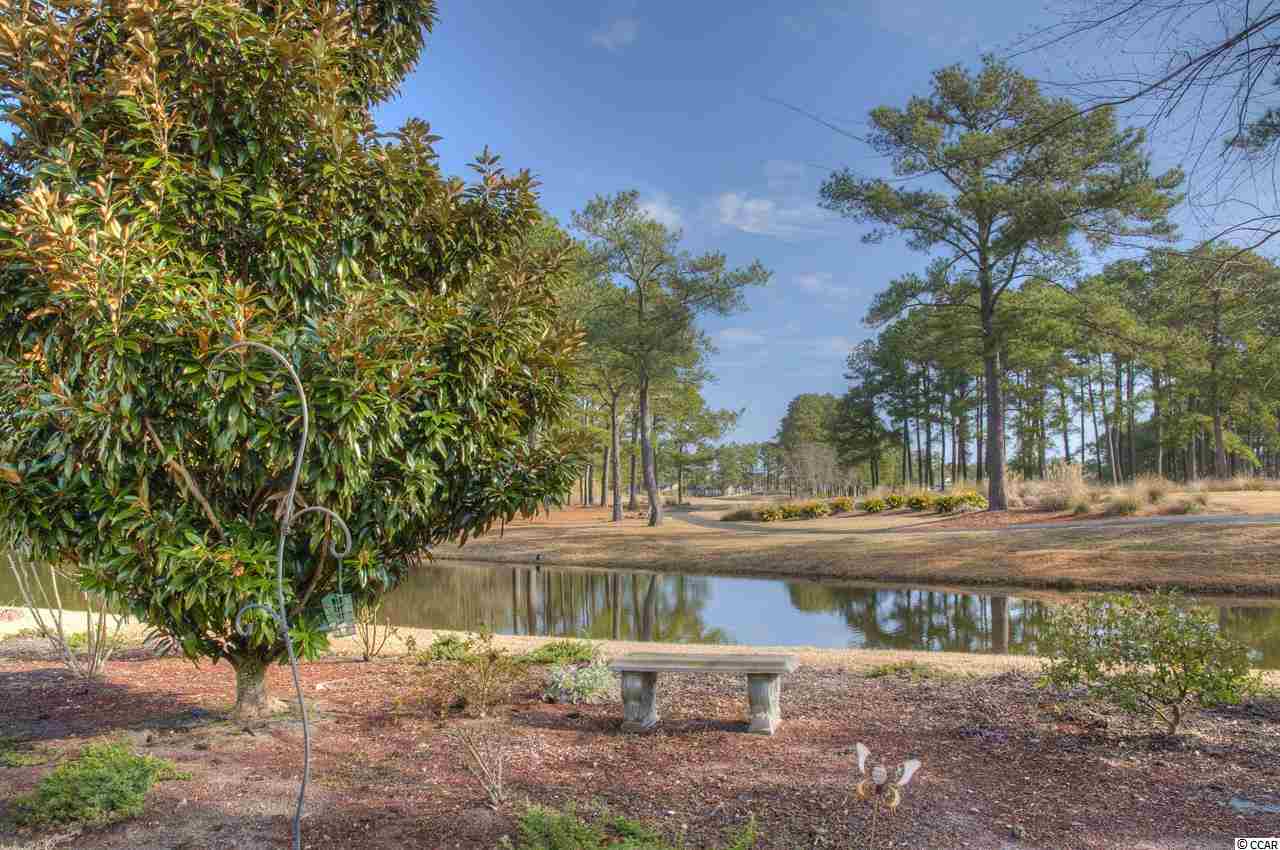 746 Helms Way Conway, SC 29526 - Photo 21 of 25 Gallery Image 21