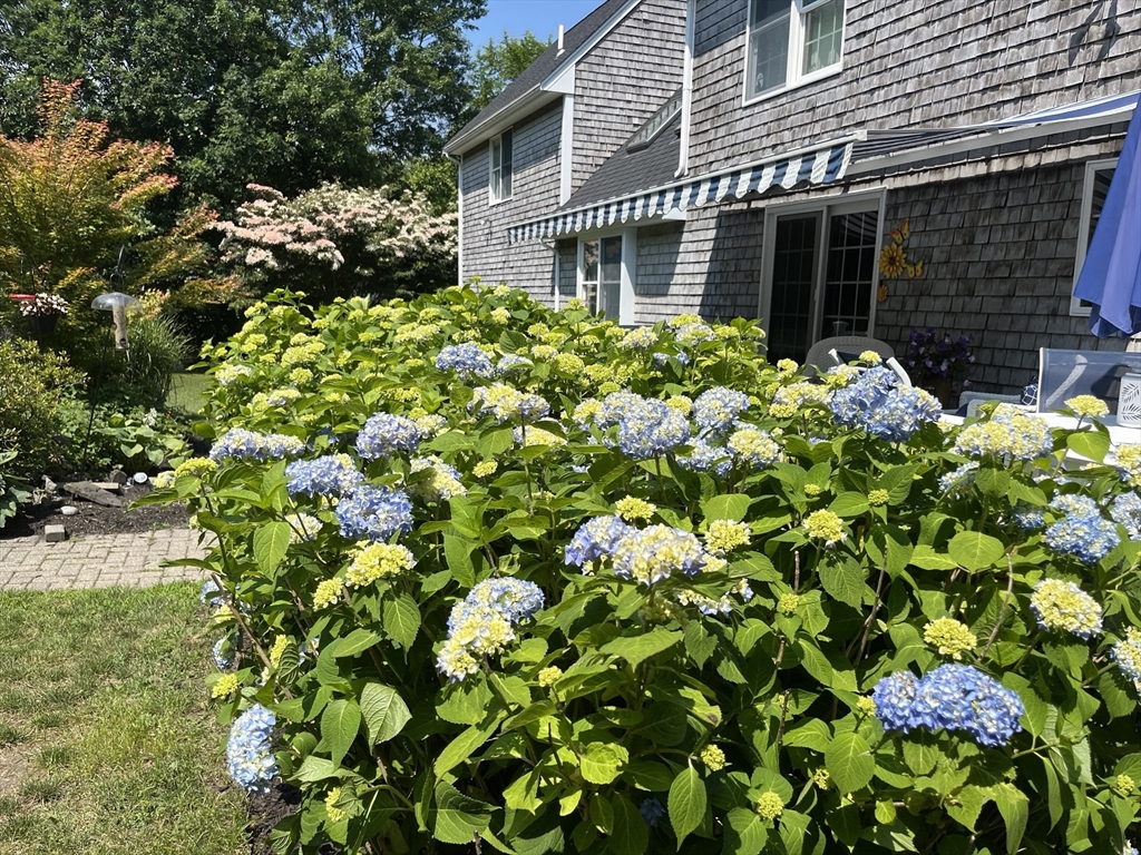 33 Tavern Way Hanson, MA 02341 - Photo 36 of 41