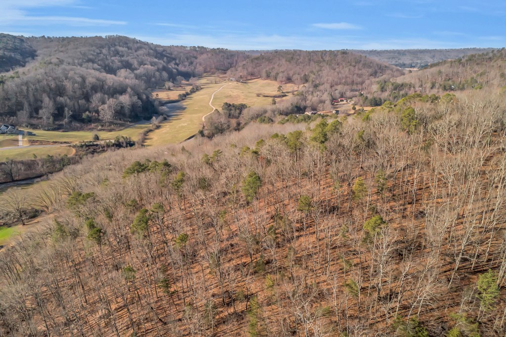 0 Houston Valley Road Rocky Face, GA 30740 - Photo 7 of 13