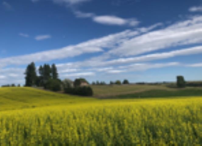 8310 East Belair Road Valleyford, WA 99036 - Photo 43 of 43