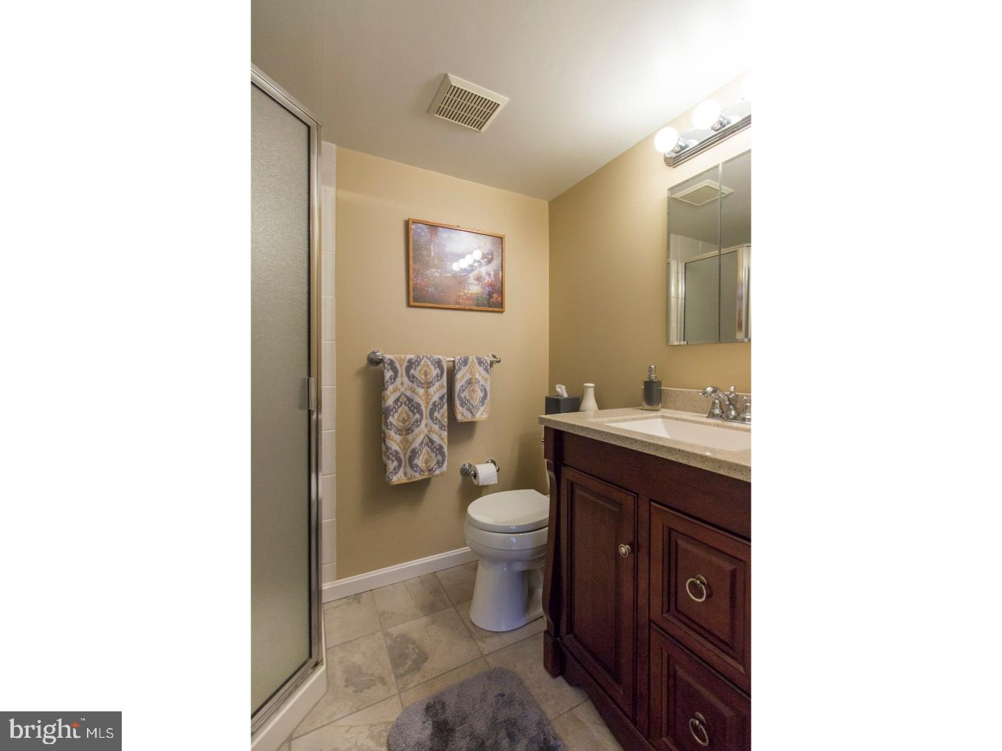 102 Llanfair Road, Unit 24 Ardmore, PA 19003 - Photo 14 of 19 Master Bathroom