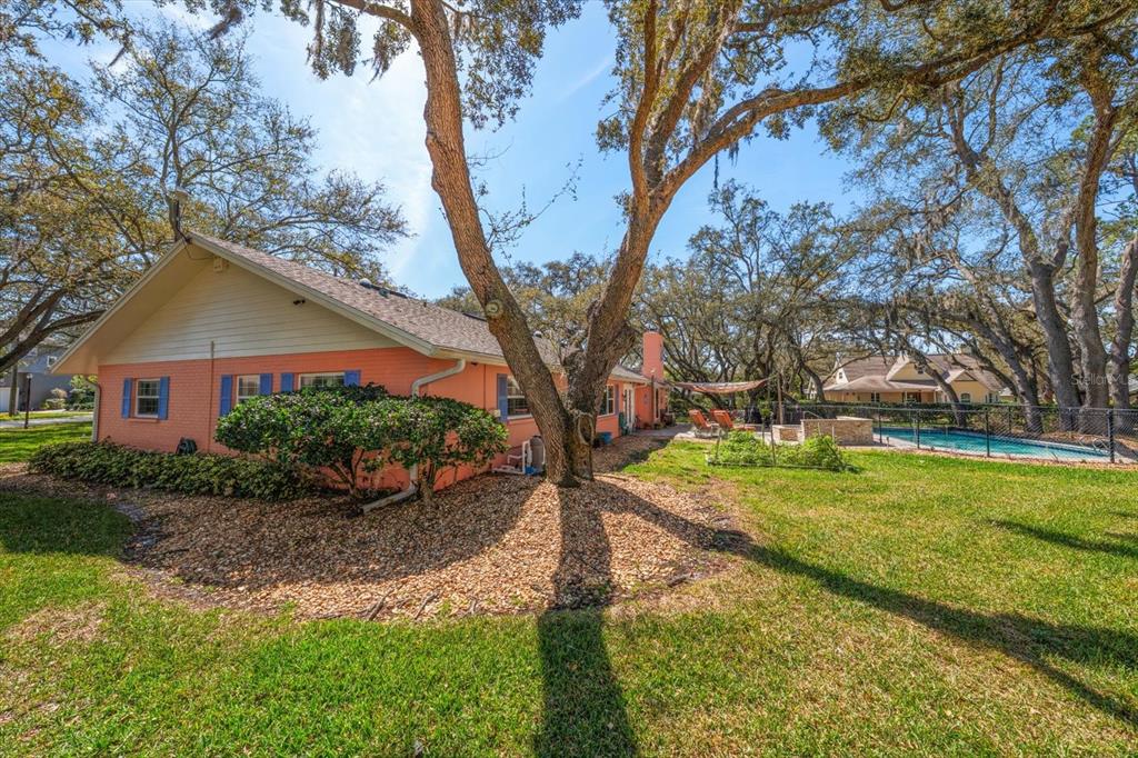 1921 Cardinal Road Dunedin, FL 34698 - Photo 38 of 52 a view of backyard with green space