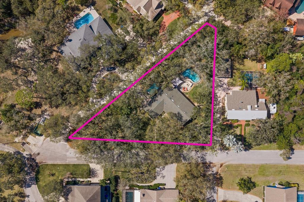 1921 Cardinal Road Dunedin, FL 34698 - Photo 49 of 52