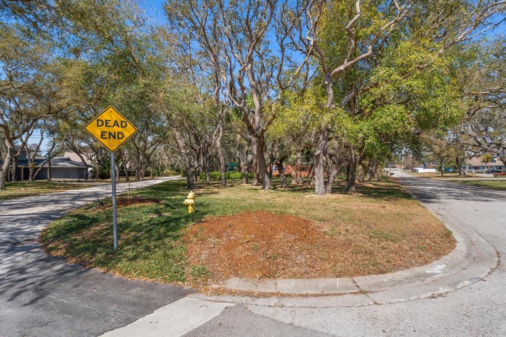1921 Cardinal Road Dunedin, FL 34698 - Photo 50 of 52 a view of a park with large trees