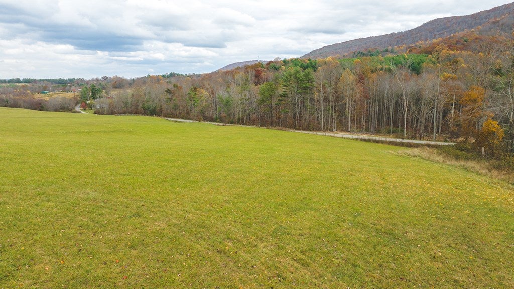 Lot 1 Ridgeview Road Northwest Floyd, VA 24091 - Photo 12 of 29 Gallery Image 12