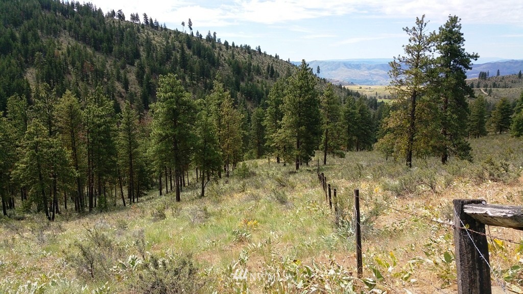 1 Swanson Gulch Road Manson, WA 98831 - Photo 1 of 14 Gallery Image 1
