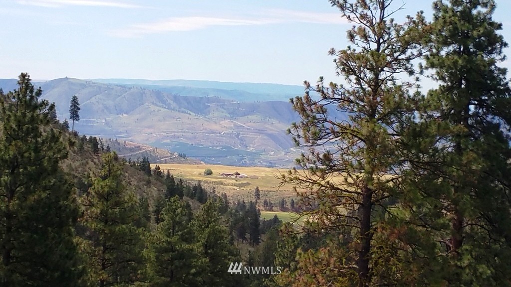 1 Swanson Gulch Road Manson, WA 98831 - Photo 2 of 14 Gallery Image 2