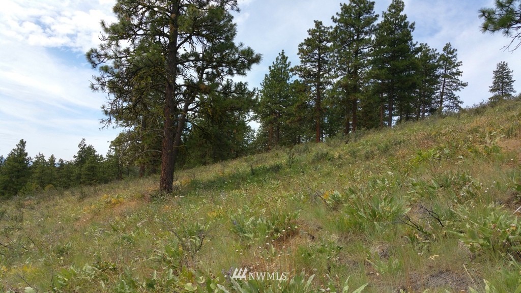1 Swanson Gulch Road Manson, WA 98831 - Photo 11 of 14 Gallery Image 11