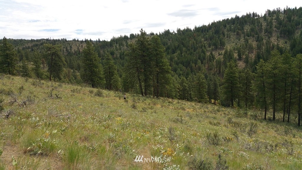 1 Swanson Gulch Road Manson, WA 98831 - Photo 12 of 14 Gallery Image 12