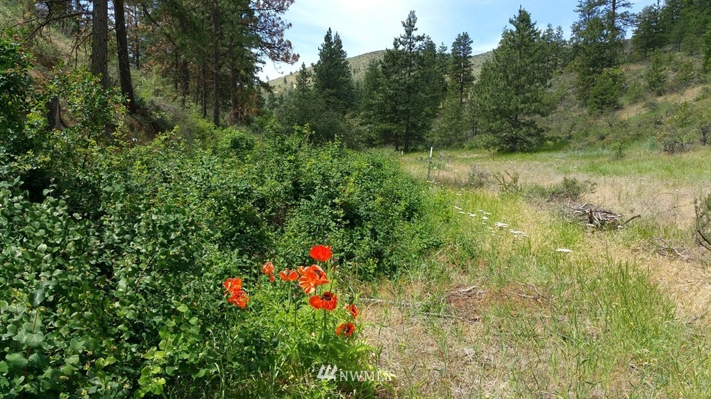 1 Swanson Gulch Road Manson, WA 98831 - Photo 13 of 14 Gallery Image 13