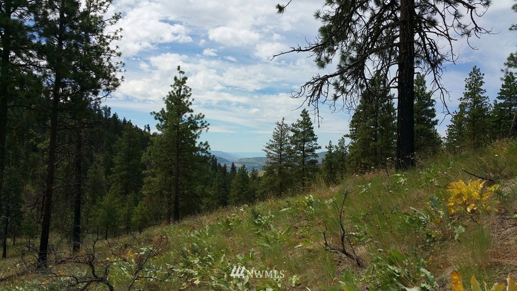 1 Swanson Gulch Road Manson, WA 98831 - Photo 14 of 14 Gallery Image 14