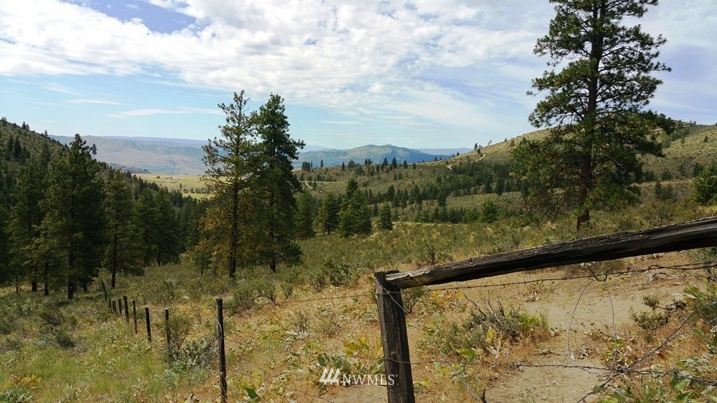 1 Swanson Gulch Road Manson, WA 98831 - Photo 3 of 14 Gallery Image 3