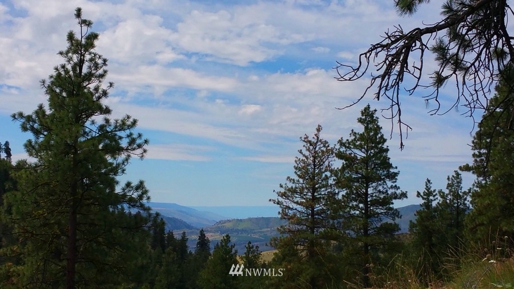 1 Swanson Gulch Road Manson, WA 98831 - Photo 4 of 14 Gallery Image 4