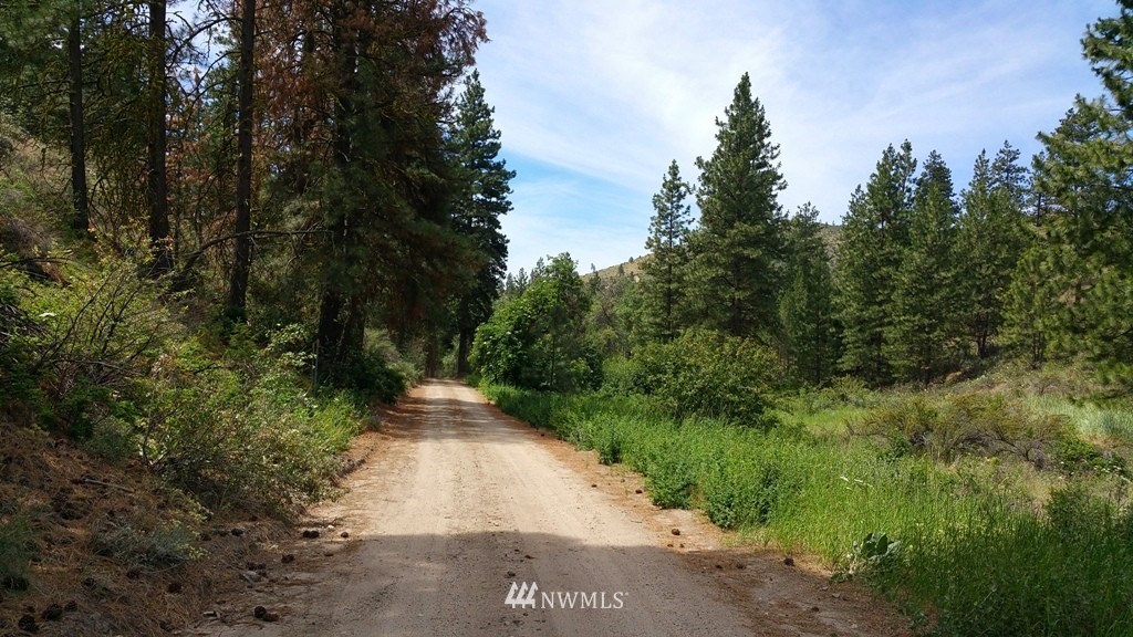 1 Swanson Gulch Road Manson, WA 98831 - Photo 5 of 14 Gallery Image 5