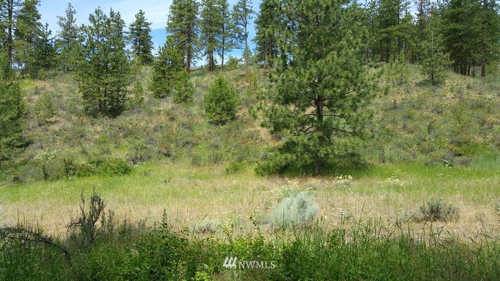 1 Swanson Gulch Road Manson, WA 98831 - Photo 6 of 14 Gallery Image 6