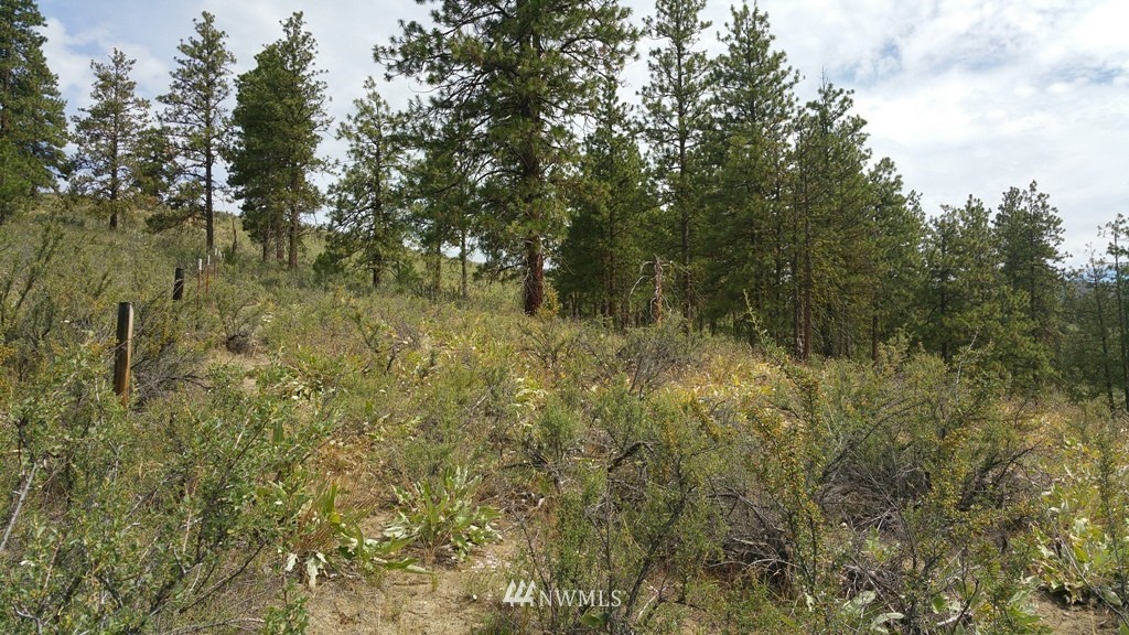 1 Swanson Gulch Road Manson, WA 98831 - Photo 7 of 14 Gallery Image 7