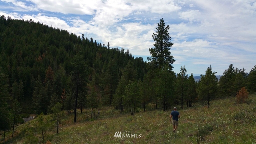 1 Swanson Gulch Road Manson, WA 98831 - Photo 10 of 14 Gallery Image 10