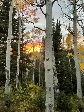 $1,555,500 | 57640 County Road 129, Clark, CO 80428