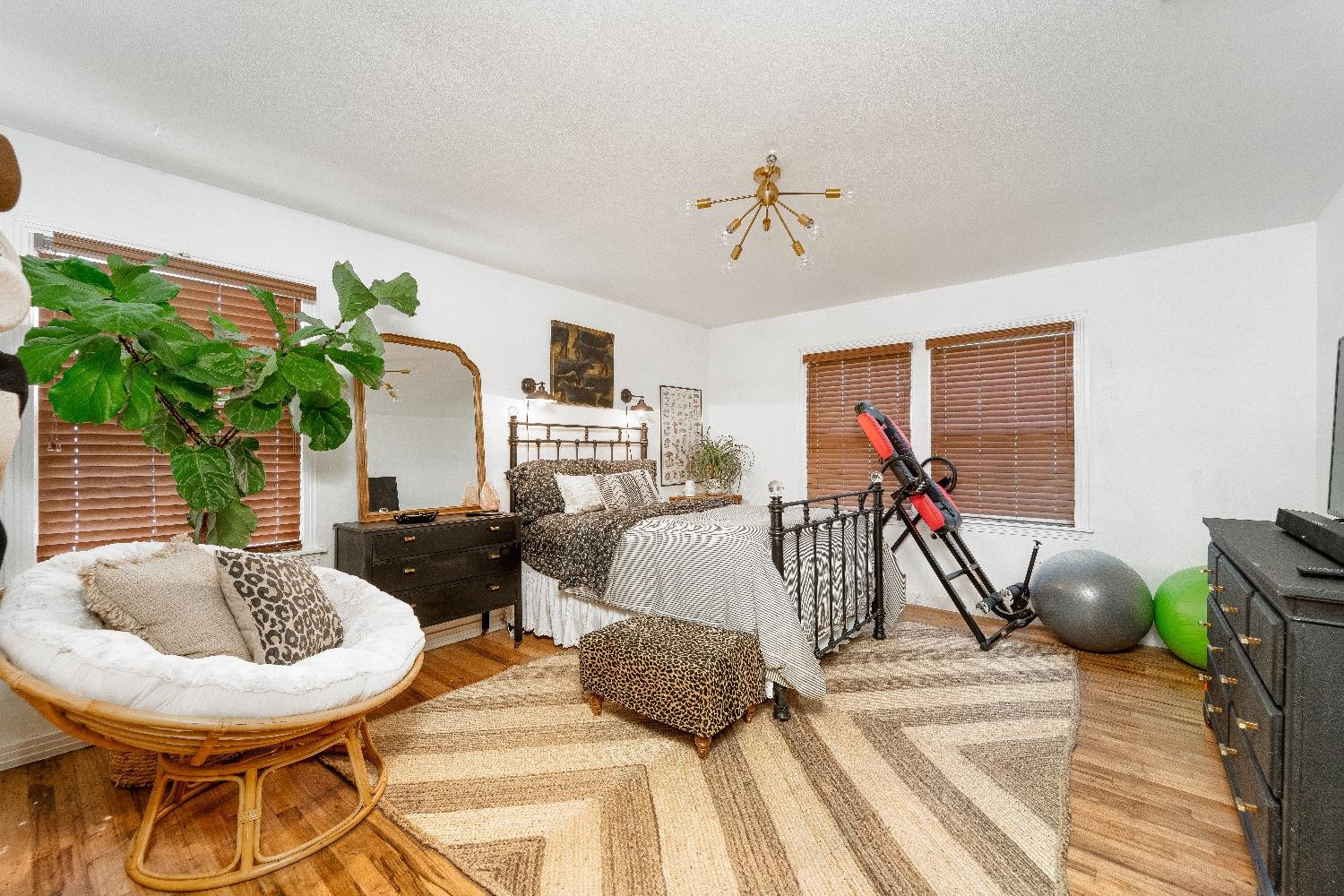 2504 42nd Street Lubbock, TX 79413 - Photo 13 of 24 a living room with furniture and a potted plant