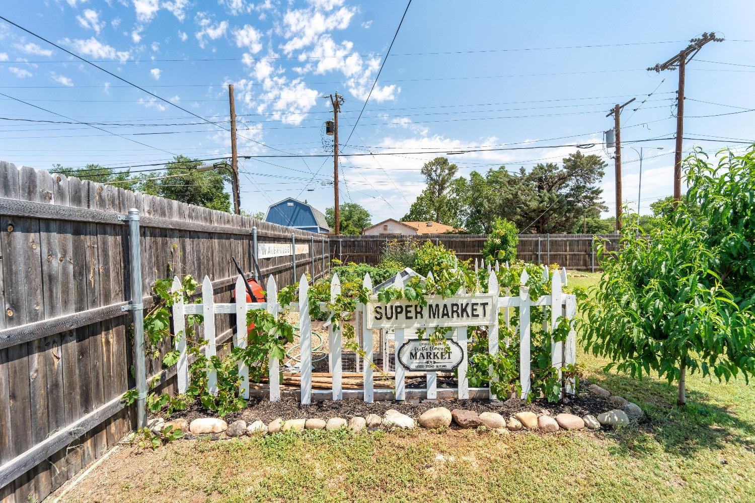 2504 42nd Street Lubbock, TX 79413 - Photo 19 of 24 a view of a garden
