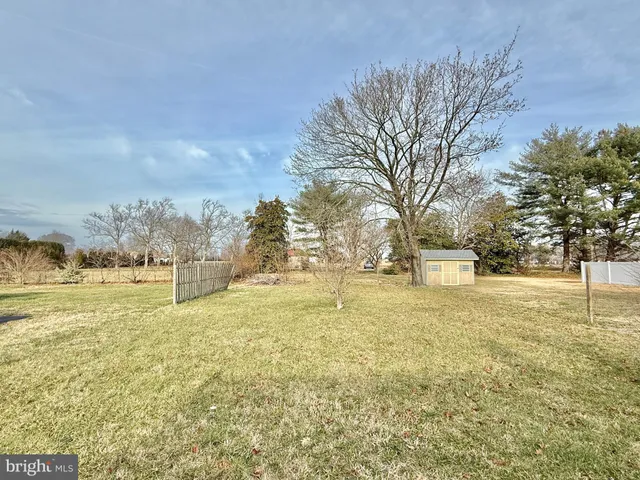 a view of yard with trees