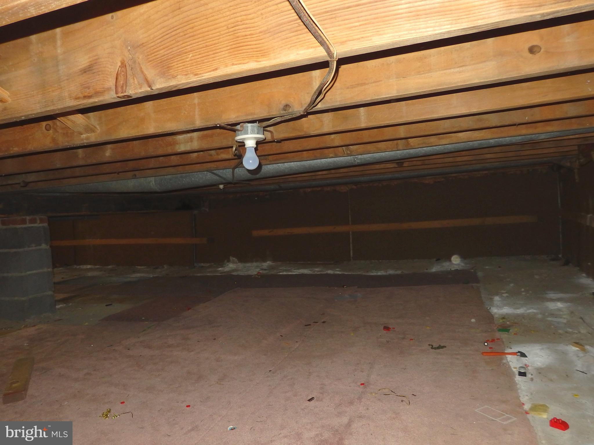 420 Rittenhouse Circle Havertown, PA 19083 - Photo 22 of 22 Lower Level: Additional Storage in Crawl Space