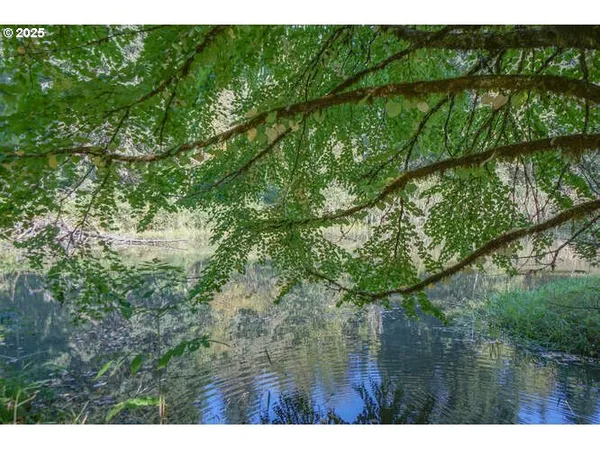 $1,399,000 | 17719 Northeast Manning Circle, Amboy, WA 98601