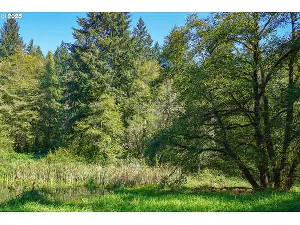 $1,399,000 | 17719 Northeast Manning Circle, Amboy, WA 98601