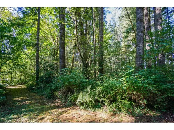 $1,399,000 | 17719 Northeast Manning Circle, Amboy, WA 98601
