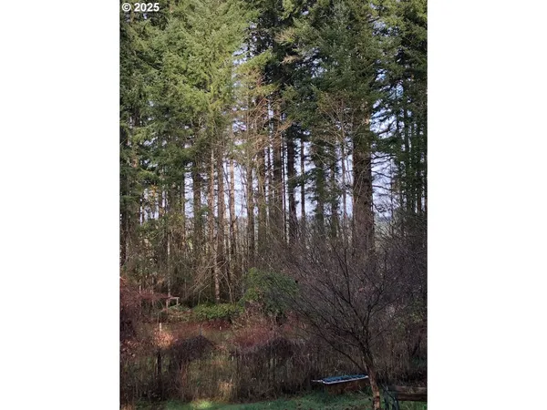 $1,399,000 | 17719 Northeast Manning Circle, Amboy, WA 98601