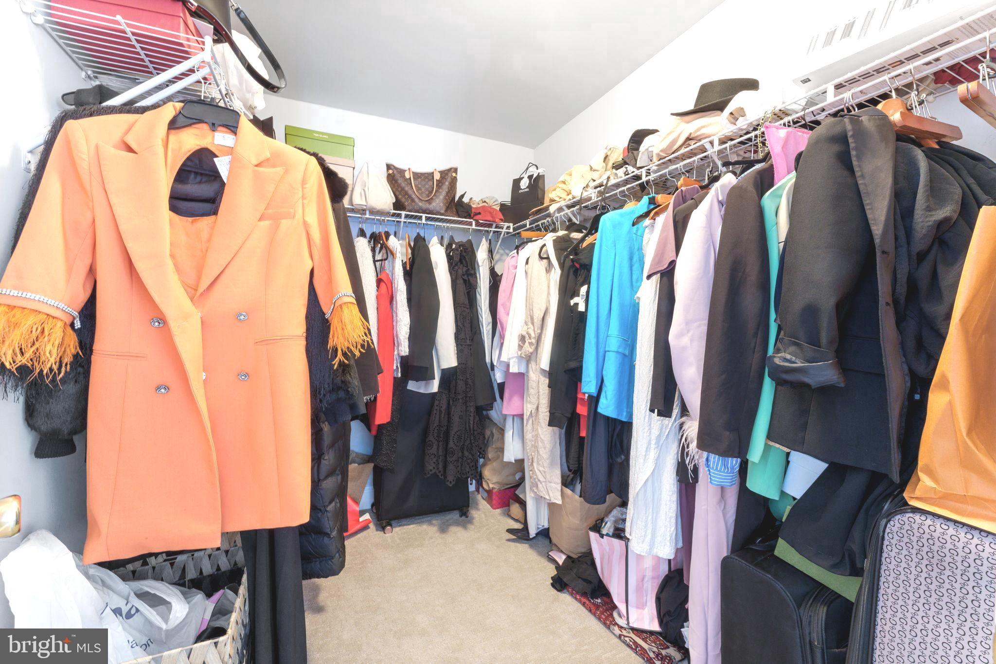 75 Swanton Lane, Unit 200 Gaithersburg, MD 20878 - Photo 20 of 54 a view of walk in closet with clothes and shoes