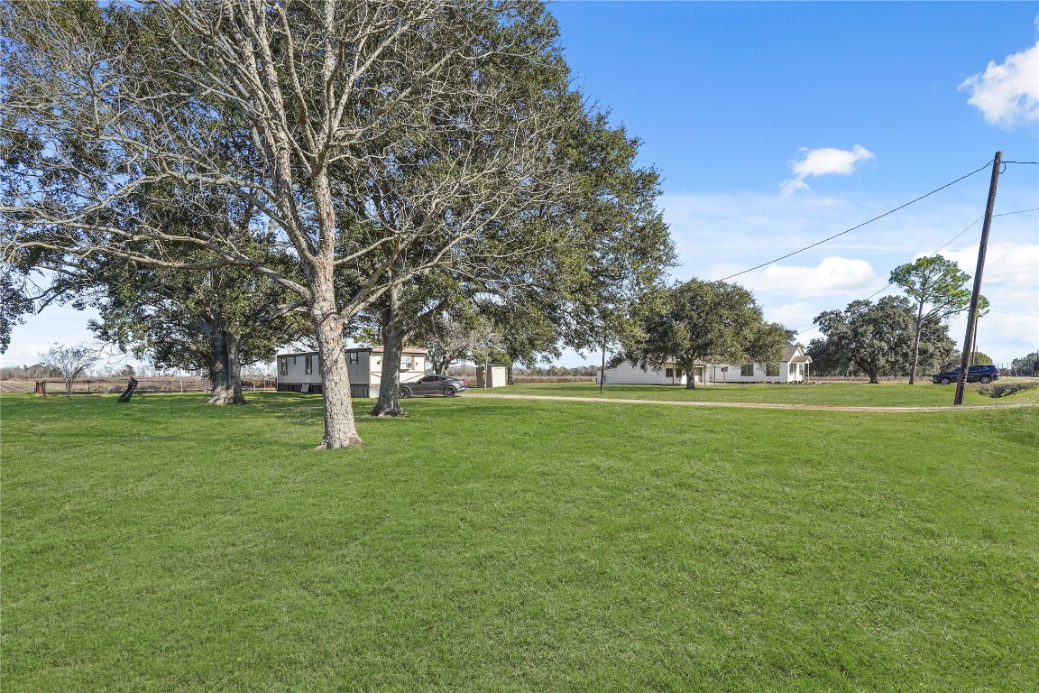 6407 Pleak Road Richmond, TX 77469 - Photo 3 of 22 a huge green field with lots of trees