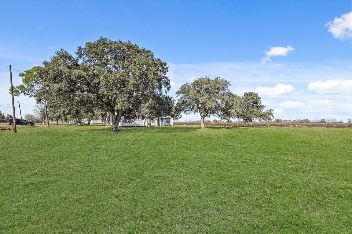 6407 Pleak Road Richmond, TX 77469 - Photo 5 of 22 a view of field with trees in the background