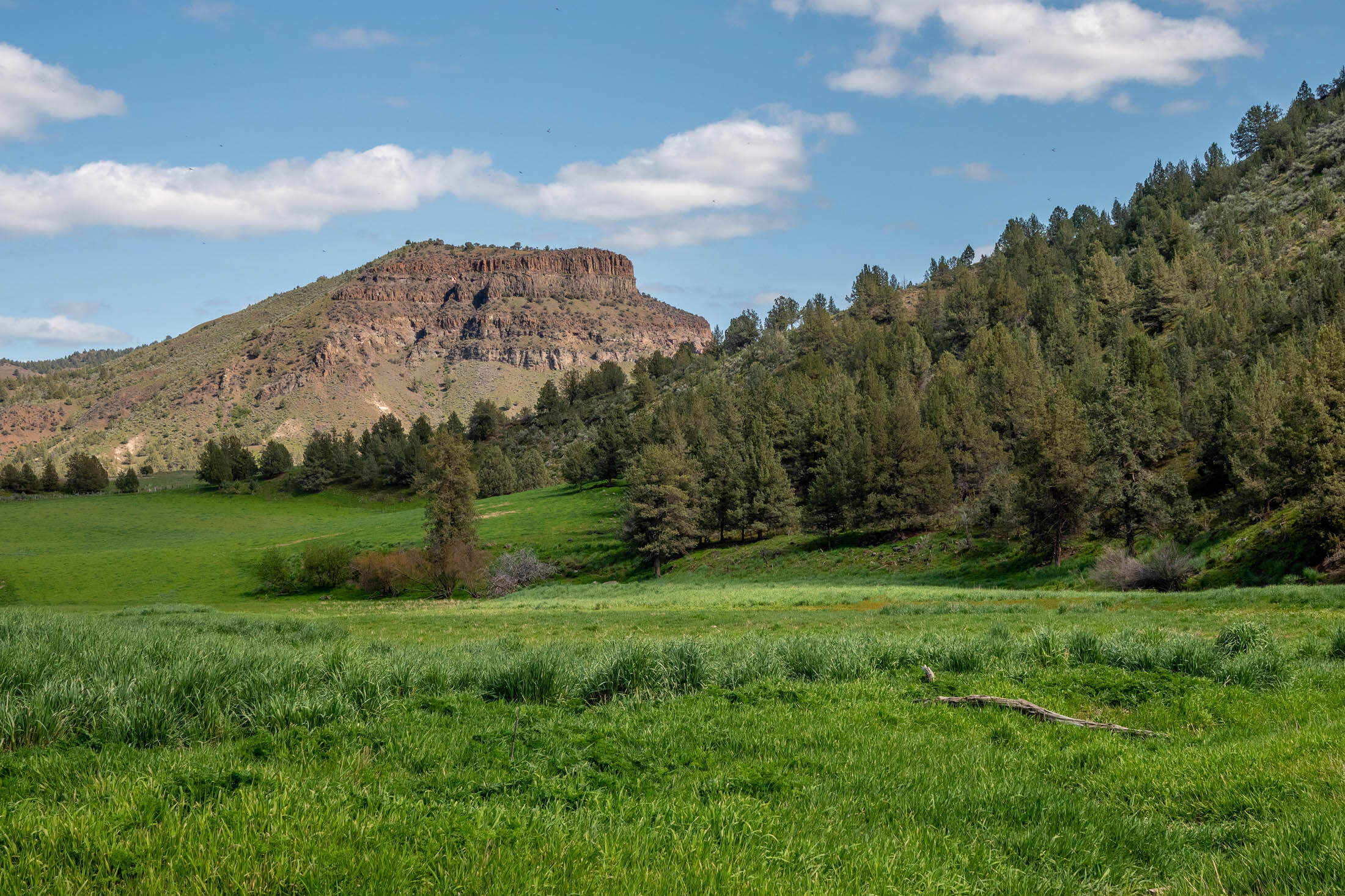 40252 Rudio Road Kimberly, OR 97848 - Photo 30 of 34 a view of a grassy field with mountains in the background