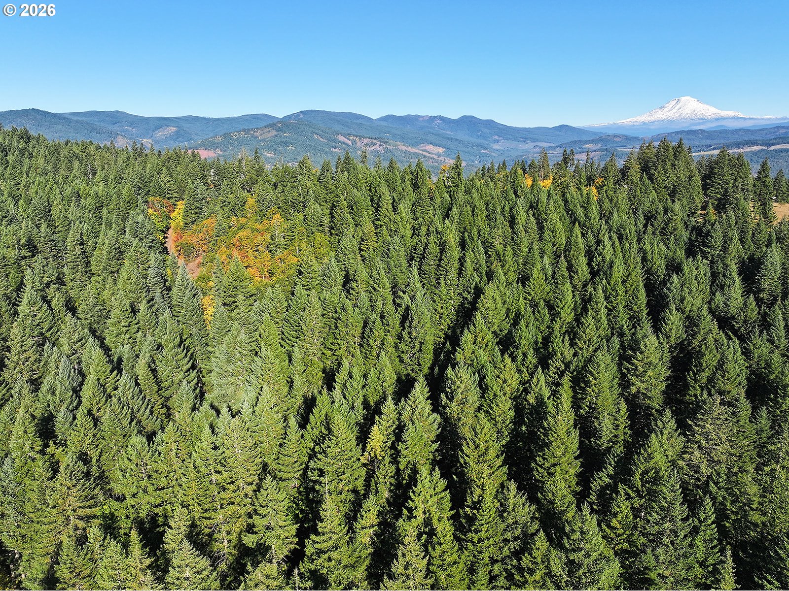Echo Glen Road White Salmon, WA 98672 - Photo 6 of 8 a view of a lush green hillside and a mountain view