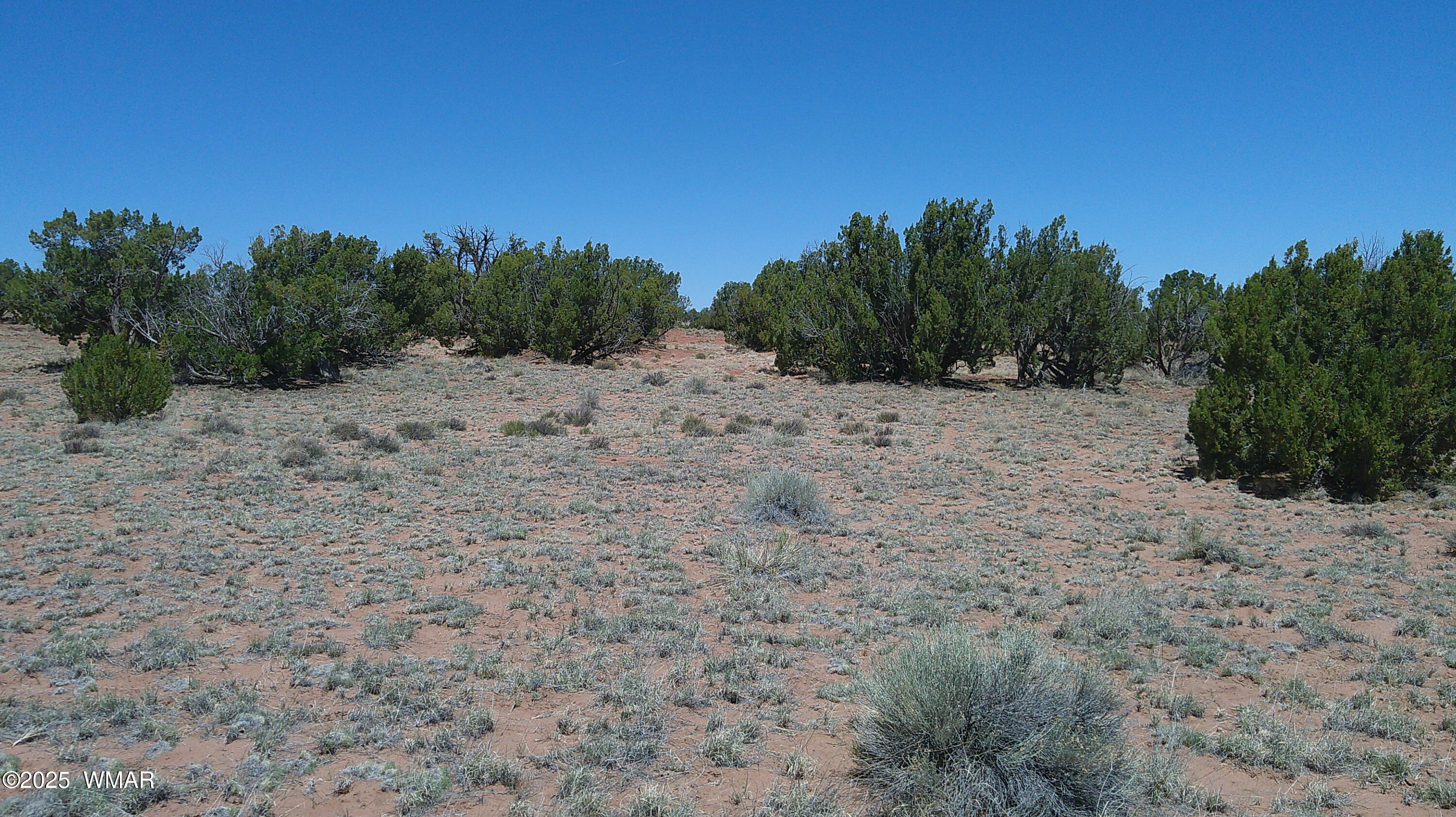 Tbd Tbd Rio Ranch Concho, AZ 85924 - Photo 6 of 44 DSCF0022